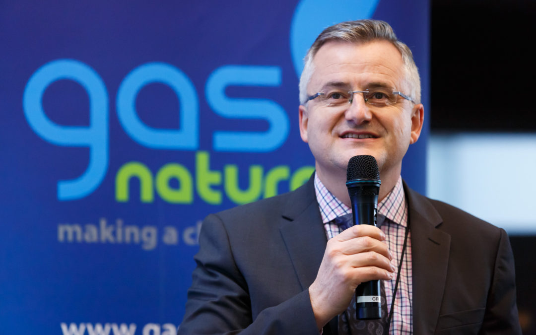 Recognising the Gas and Renewables Partnership: GN Chairman Francois-Regis Mouton interviewed by Natural Gas Europe