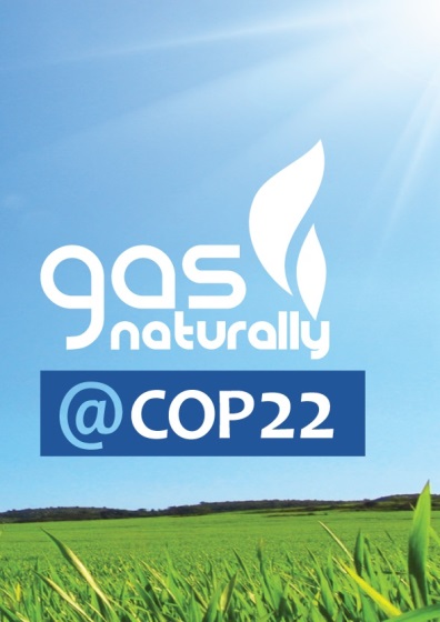 Three moves to turn COP22 into action